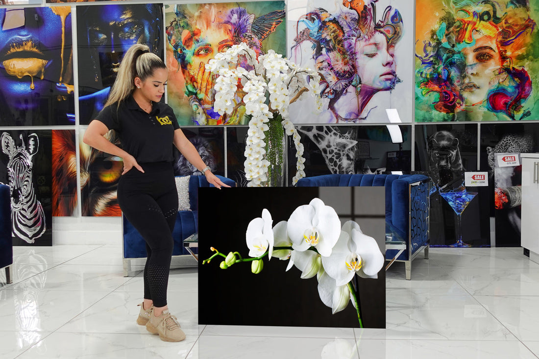 Decorative acrylic design with an elegant white orchid.